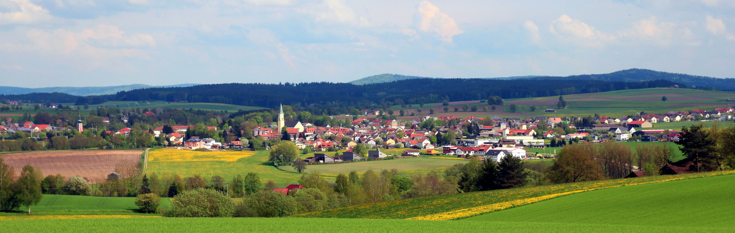 Panorama-Foto des Markt Moosbach umrahmt von Wiesen und Wäldern