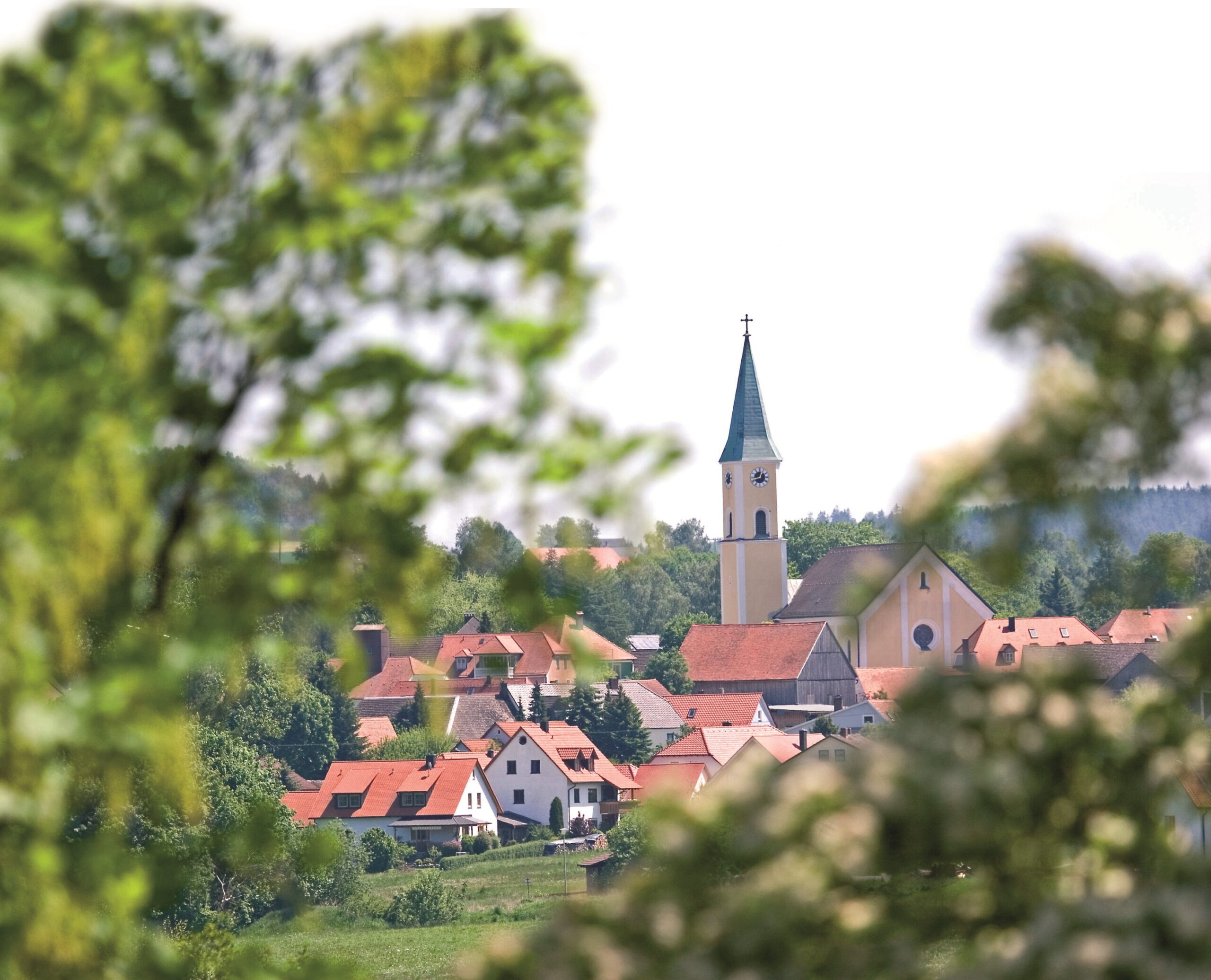 Blick auf Moosbach durch Bäume