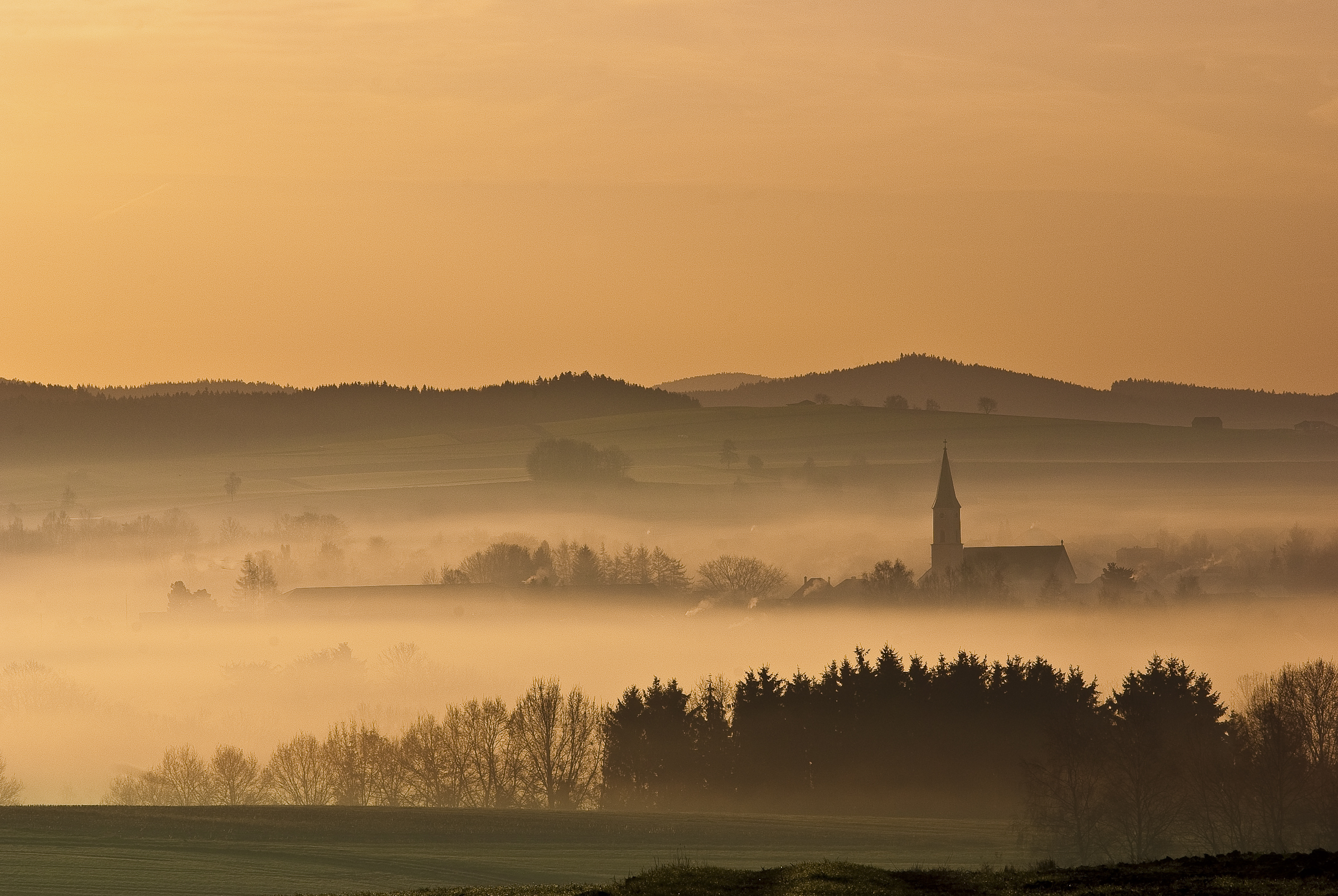 Moosbach im Herbstnebel
