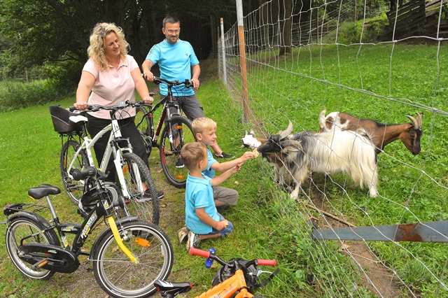 Eine Familie auf Fahrradtour füttert im Gruberbachtal eine Ziege durch einen Zaun hindurch